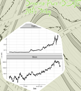 Dogecoin value today