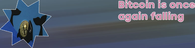 Shib cryptocurrency